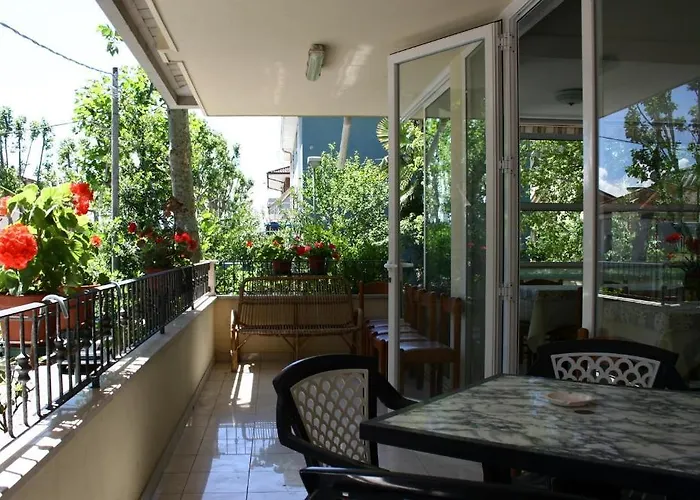 Hotel Urania Nuova Gestione Rimini