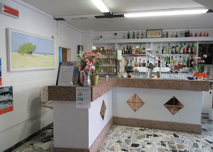 Urania Nuova Gestione Hotel Rimini